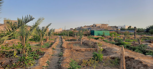 مزرعة أحمد بكر - Yanbu Al Nakhal -