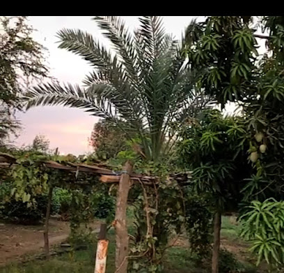 مزرعة العريشي - Ahad Al Masarihah -