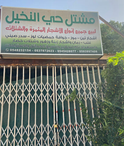 مشتل حي النخيل - Al-Kharj - +966 54 542 8077