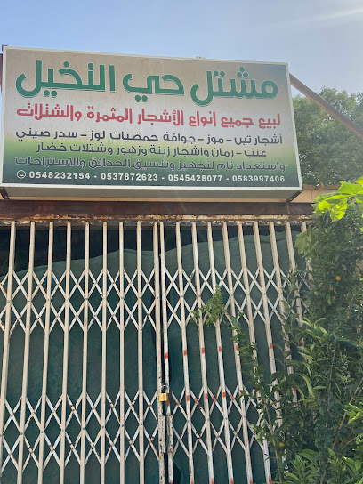 مشتل حي النخيل - Saudi Arabia|Al-Kharj 16292|مشتل حي النخيل|OKWB3483