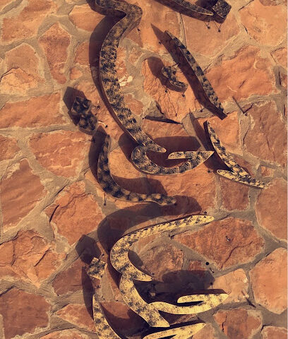 المباركية - المساعدية -
