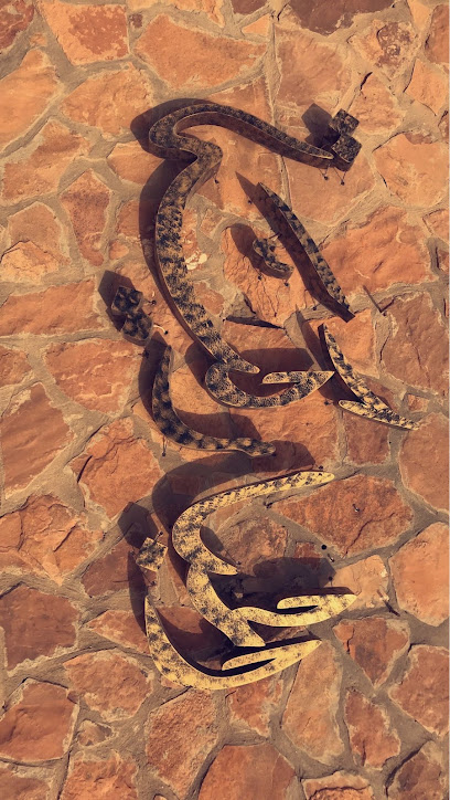 المباركية - Saudi Arabia|المساعدية 15539|RW8V+9F