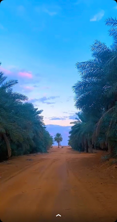 مزارع الشيخة للتمور - Al-Fuwayliq 54697