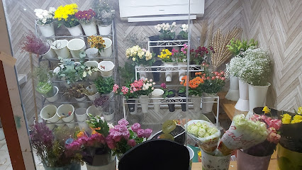 لاند فلاور - ورود و هدايا - Samtah - +966 53 621 0605