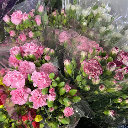 ايتا للزهور (بالجملة) - Jeddah - +966 12 661 2987