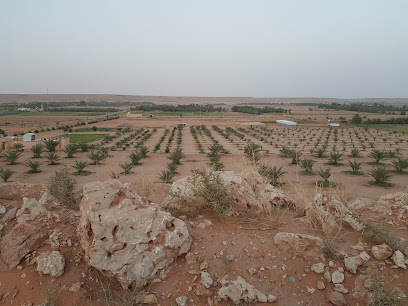 مزرعة الدوحة - Az Zulfi - +966 53 664 4045