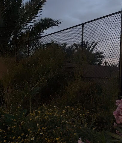 مزرعة المنّاع - تمير -  -