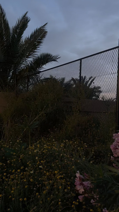 مزرعة المنّاع - تمير - Saudi Arabia|15315