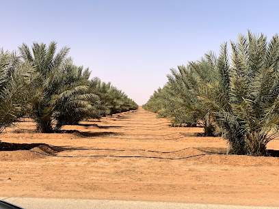 Alfakhra Farms - Al Ghat -