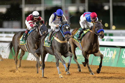 The Saudi Cup - Riyadh - +966 55 150 0635