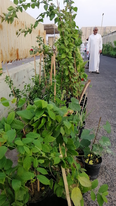 Al-Mujtaba nursery - Saudi Arabia|8251، القطيف‎ 32652 2797،