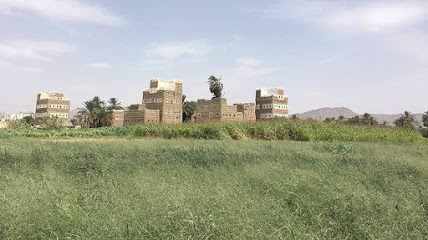 Farm - Najran -
