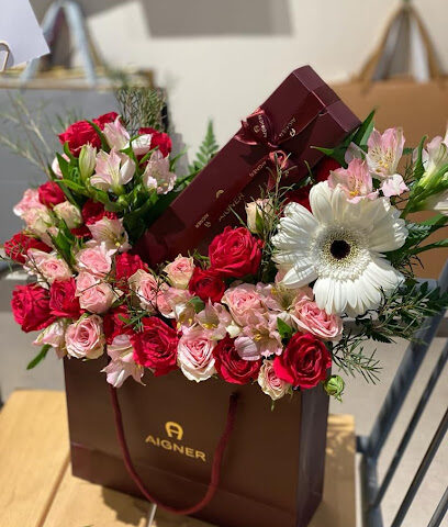 جوري - Khamis Mushait - +966 56 654 6417