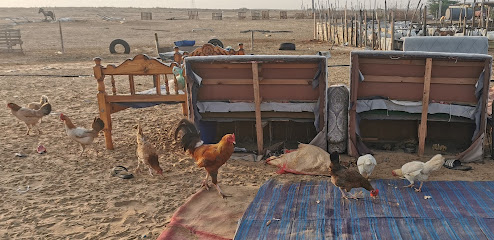 مزرعة حسن مستور - Jazan -
