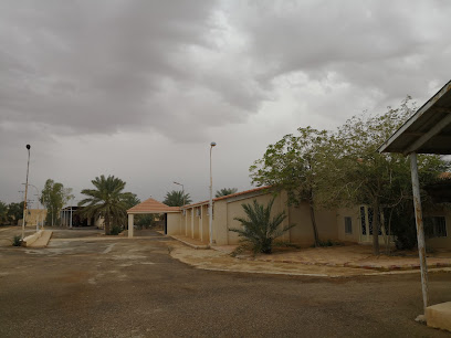 Nasser Al-Sultan Farm (Alzerbol) - Tumair -