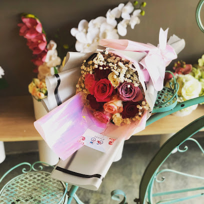 Pink petals - Al Qatif -