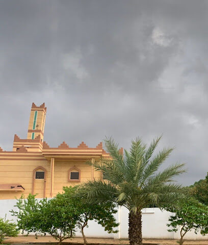 مزرعة الأستاذ فؤاد باصهي - Jazan - +966 59 334 4232
