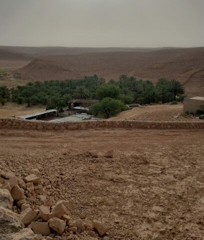 مزرعة الصقارى - Tumair -