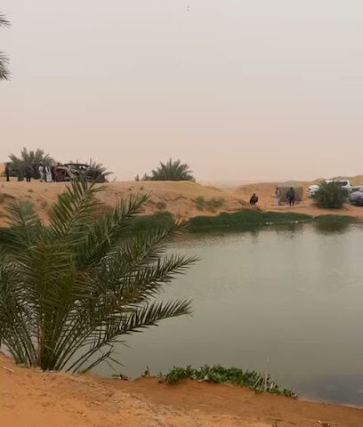 حديقة المشاش الجنوبية -  -