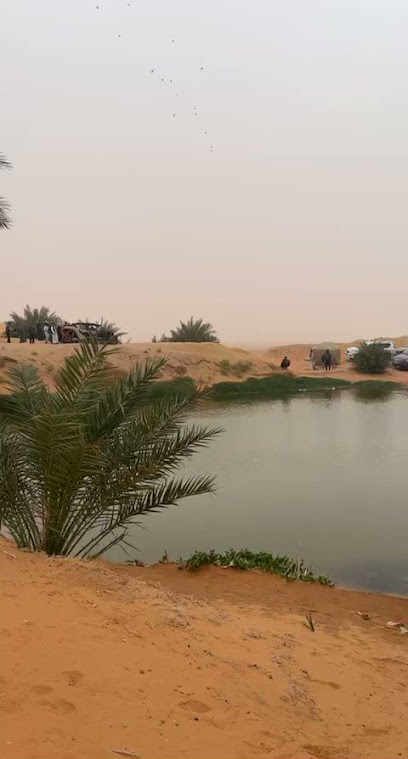 حديقة المشاش الجنوبية - Saudi Arabia|Unnamed Road 15528،