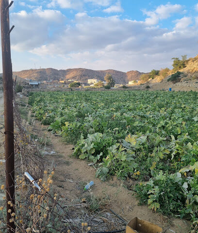 وقف دخيل الله بن حسان بن مجبور العوفي - Taif -