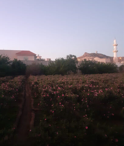معمل الهدا القديم لصناعة دهن وماء الورد الطائفي - Alhada - +966 55 571 3821