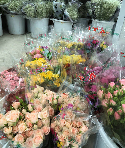 ITA Agri. - Buraydah - +966 16 326 3287