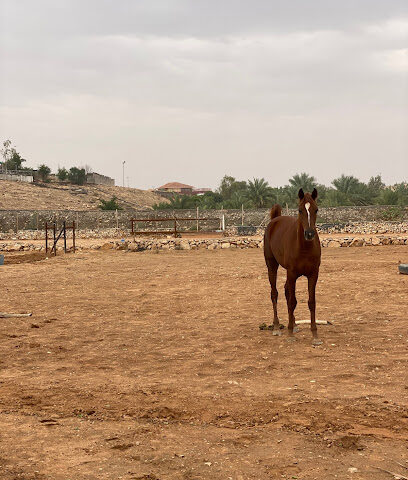 Abdullatif Alabdullatif’s Ranch -  -