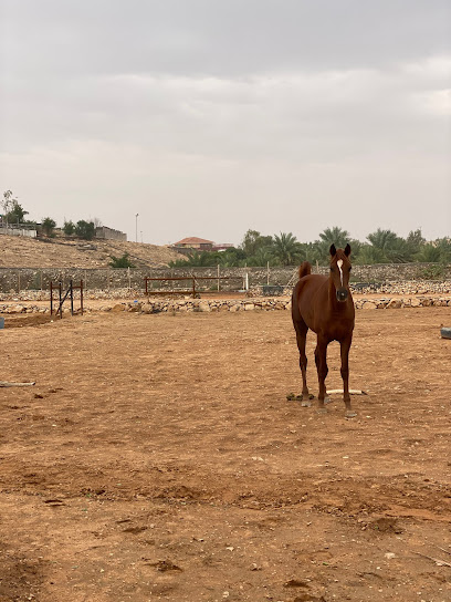 Abdullatif Alabdullatif’s Ranch - Saudi Arabia|15315