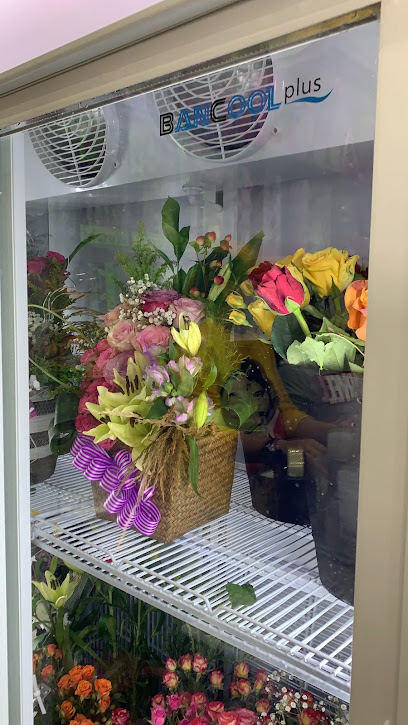 Orchid flower - Saudi Arabia|Jazan 82725|Ash Shati|Corniche Rd