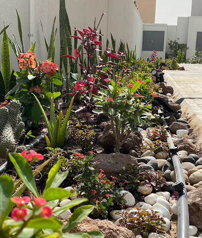 جنات تالا الزراعية - Dammam - +966 53 487 7730