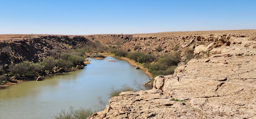 الحليفه - الرياض -