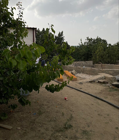 مزرعة النمري للمشمش - Taif - +966 56 762 6051