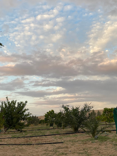 مزرعة - Saudi Arabia|Al Fuqayyir 48329|483V+5F