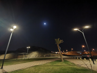 حديقة جنوب المدينة - Bisha -