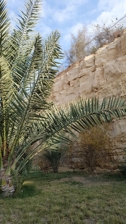 Bustan Farm - Saudi Arabia|13736|Unnamed Road