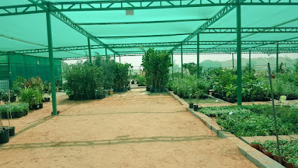 مشتل بلدية ينبع البحر - Yanbu - +966 14 322 7444