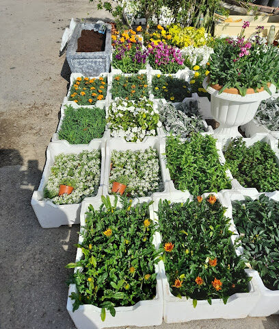 مشتل زهور الخليج - Dammam - +966 58 291 9191