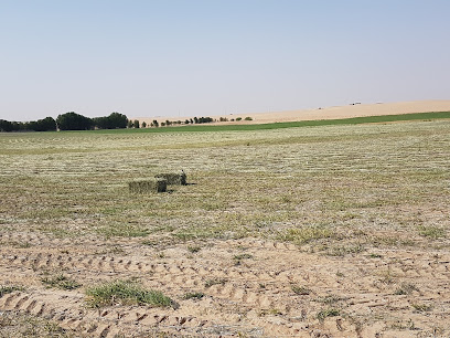 مزرعة الهجرسيه - Al Jubail -