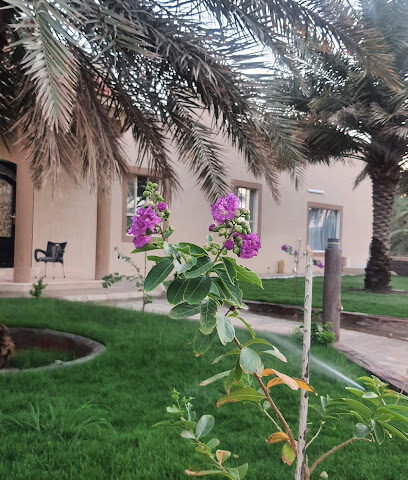فراج العريدي - Az Zulfi -
