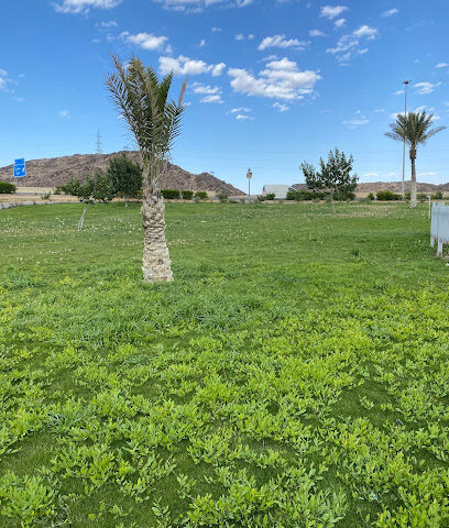 حديقة الفراشة - Taif -