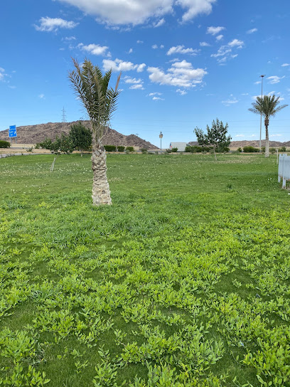 حديقة الفراشة - Saudi Arabia|26722|Unnamed Road