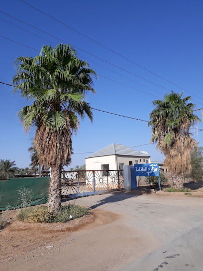 مزارع العاذلية 6 - Saudi Arabia|Uyun Al Jawa 52908|52773