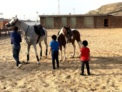 Royalty Equestrian Club - Jeddah - +966 55 575 7275