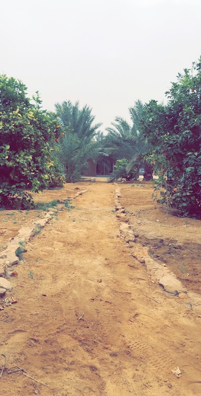 Mohammad Attuwaijri’s farm - Saudi Arabia|52771