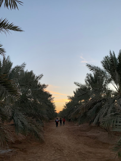 مزرعة علي الناصر القبلان - Saudi Arabia|Ar Rass 58859،|Unnamed Road|WJ6G+F2R