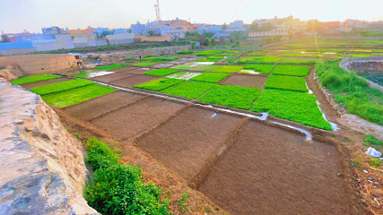 مزرعة المهندس سلطان بن حسين بن مجدع - Abha -