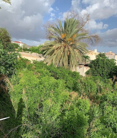 مزارع ابن حامد - Taif - +966 53 403 9325