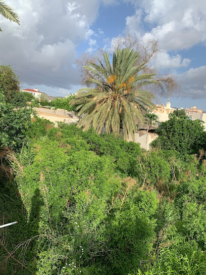 مزارع ابن حامد - Saudi Arabia|Taif 12345|C1|785M+R2