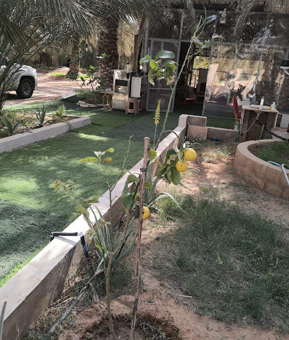 استراحة أبو شايع - Az Zulfi -